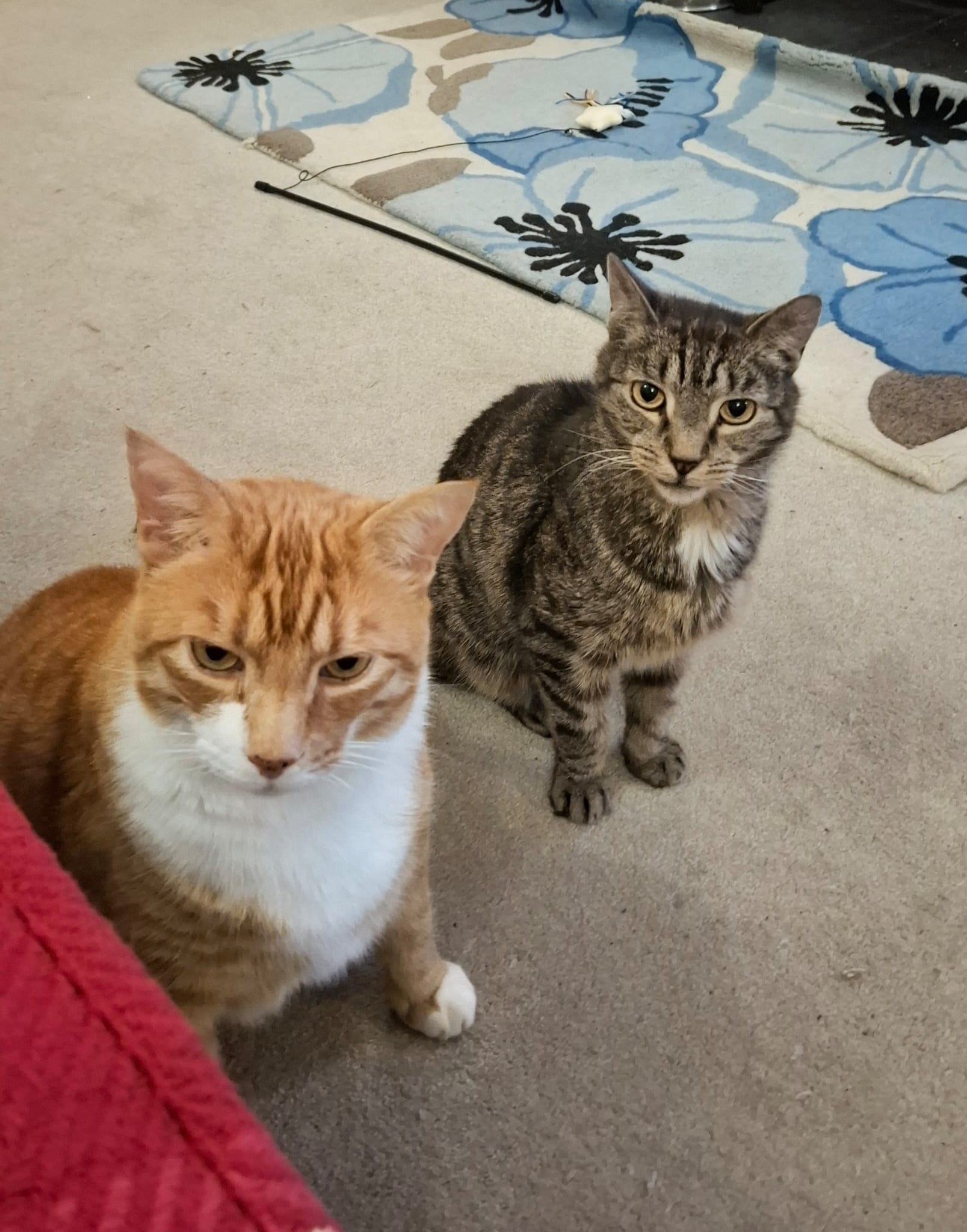 Chester and Benny